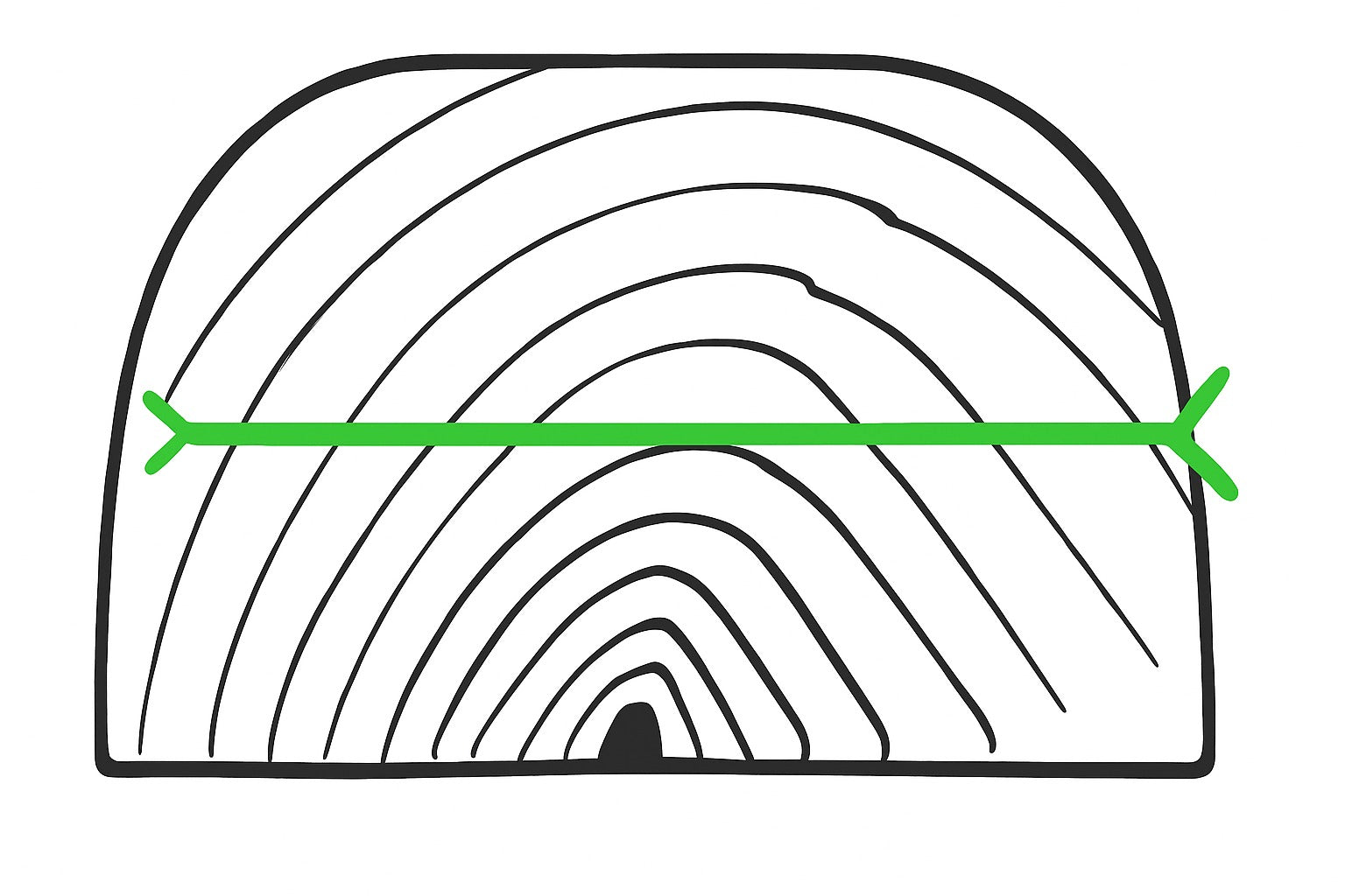 Erlenholz Halbe - Blöcke