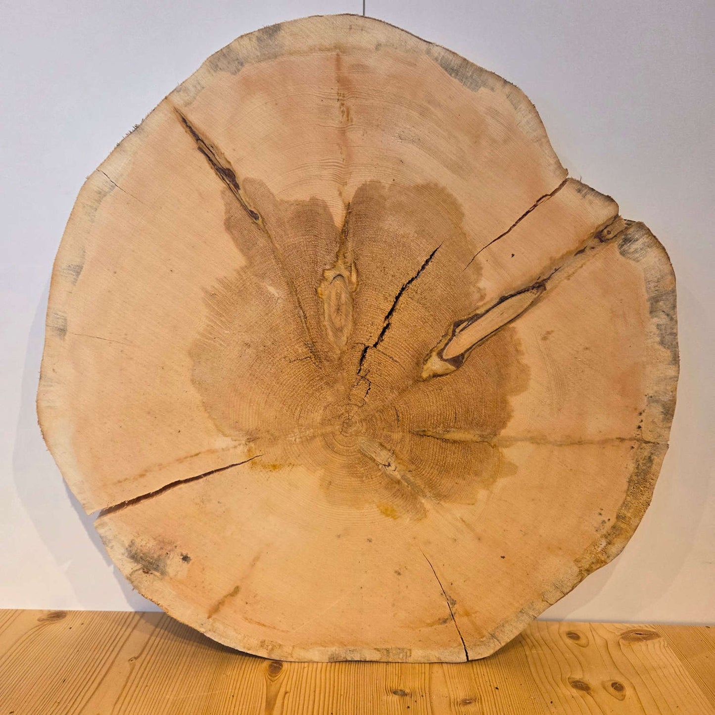 Zirben Baumscheibe Ø 53 cm Stärke 5,5 cm