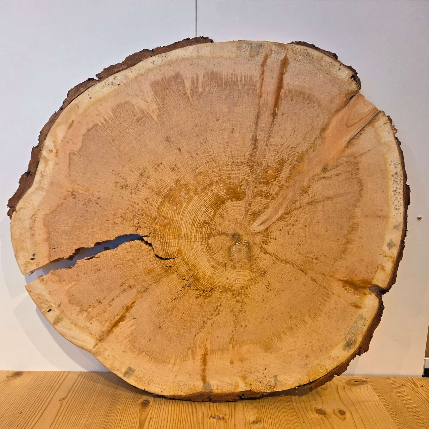 Zirben Baumscheibe Ø 54 cm Stärke 3,5 cm