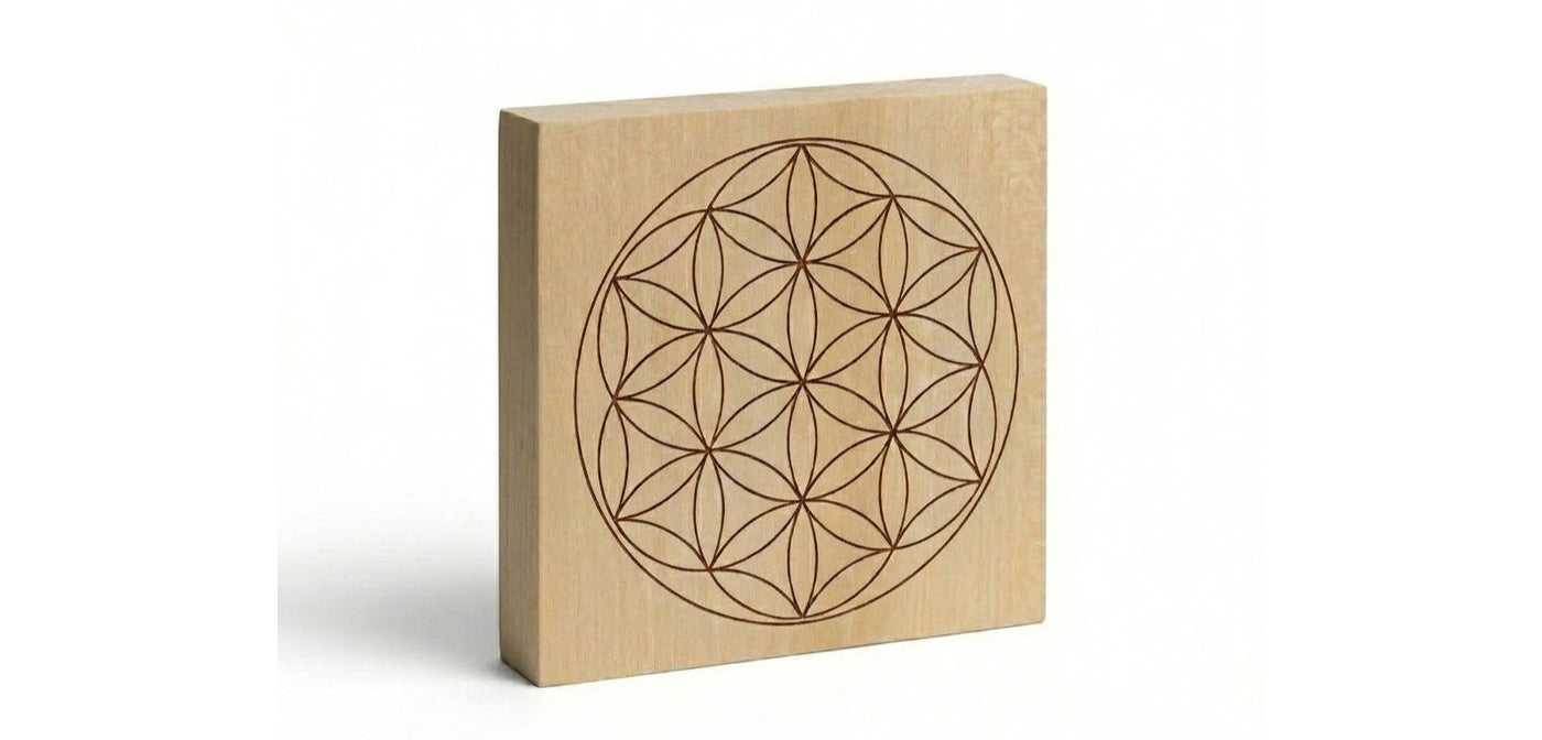 Rohlinge 30 x 20 cm