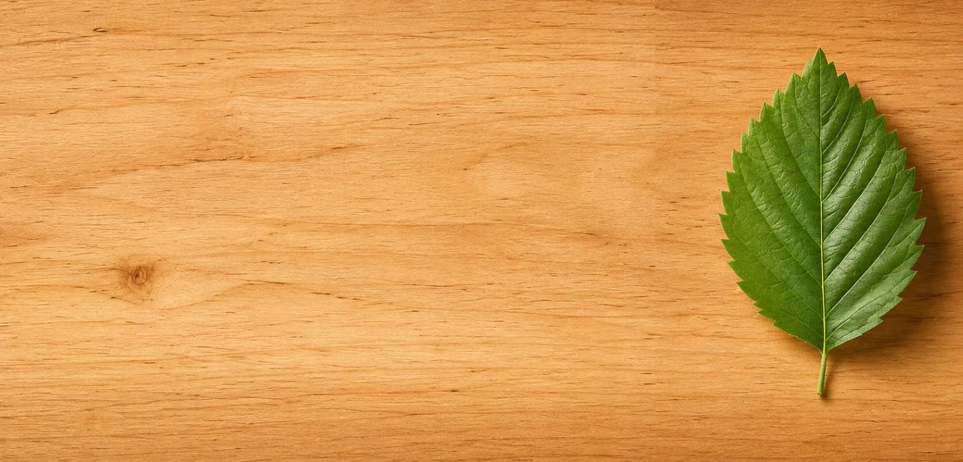 Erlenholz