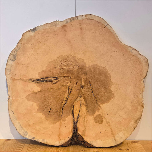 Zirben Baumscheibe  Ø 57 cm  Stärke 3 cm