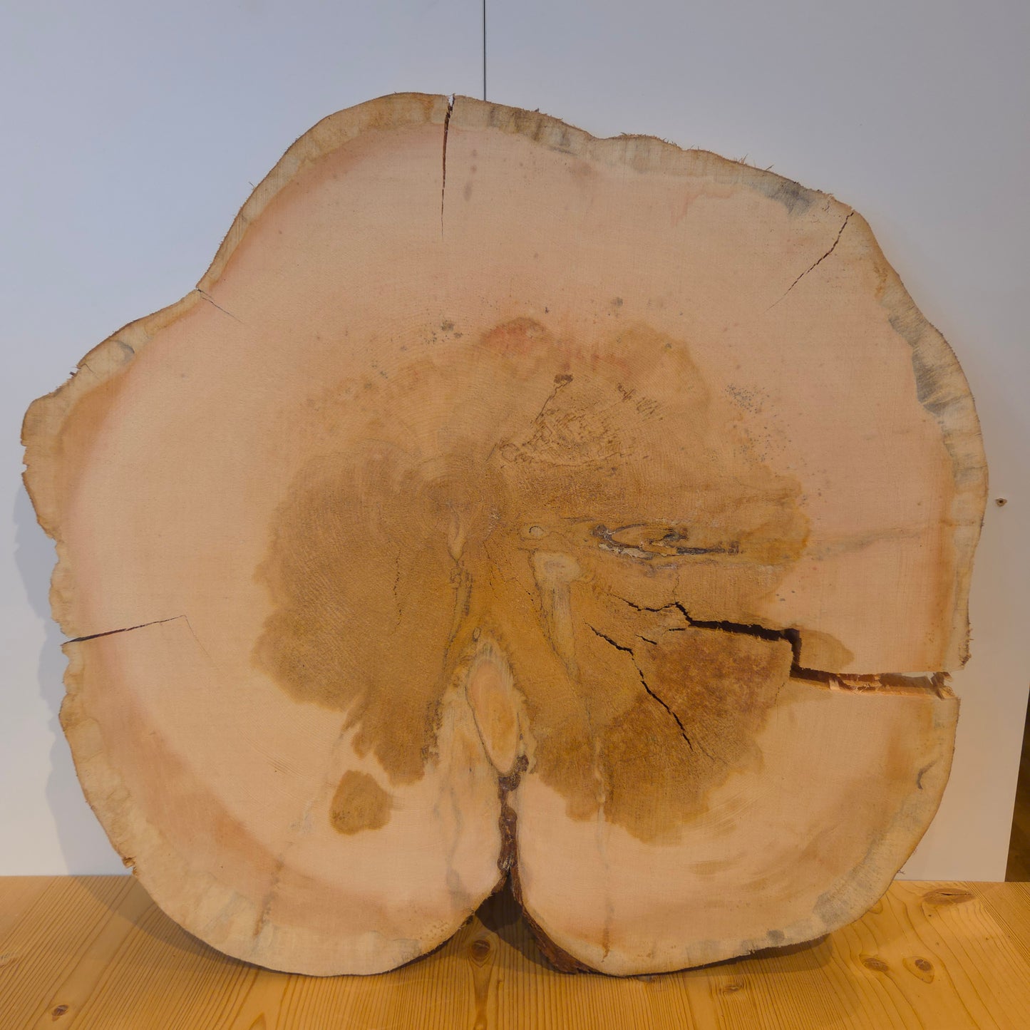 Zirben Baumscheibe  Ø 60 cm  Stärke 4,5 cm