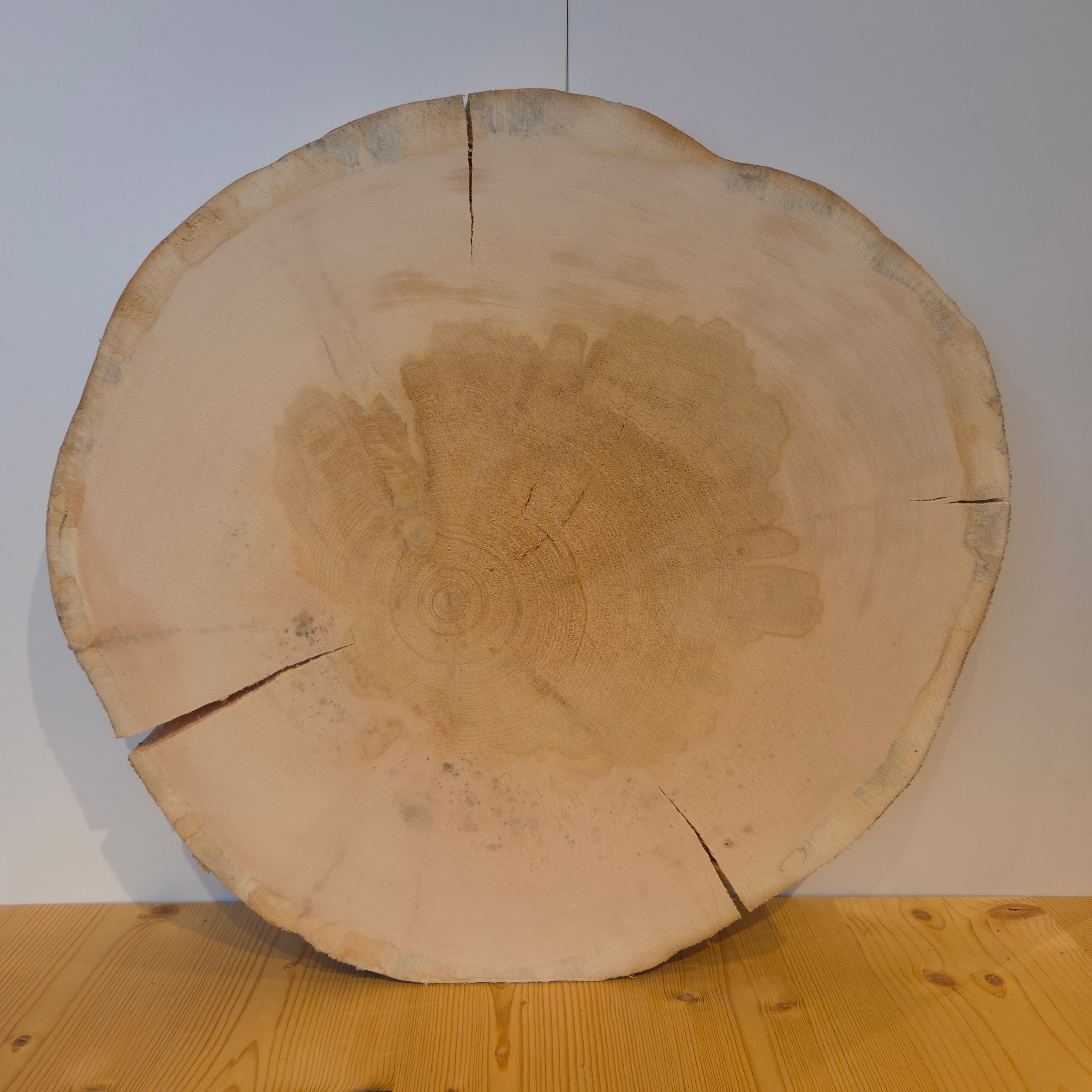 Swiss pine tree slice Ø 52 cm thickness 5.5 cm