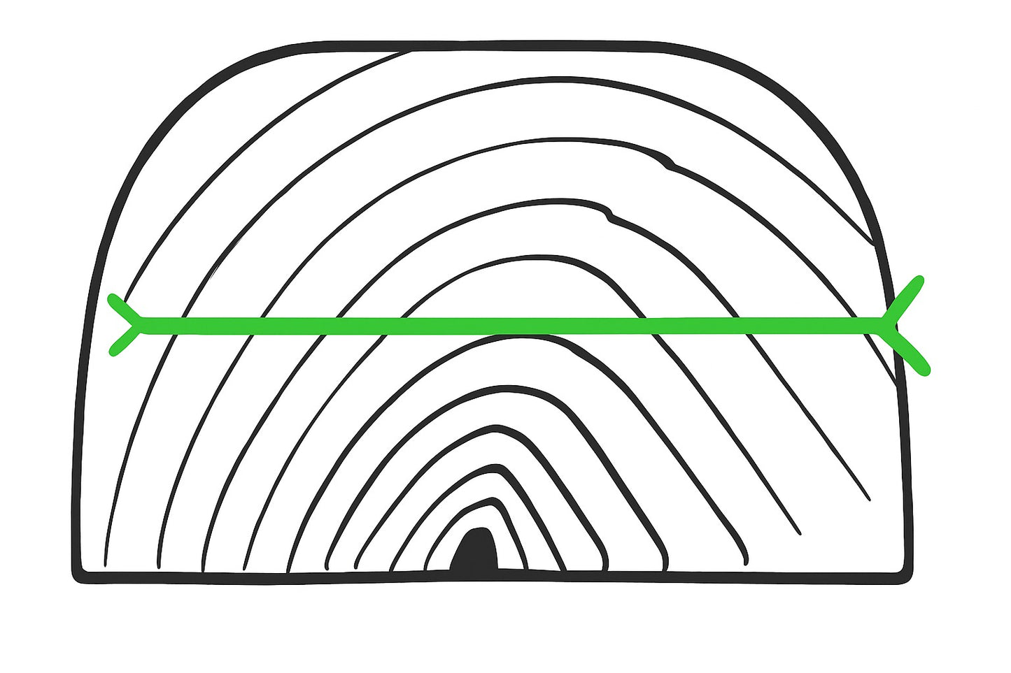Erlenholz  Halbe - Blöcke