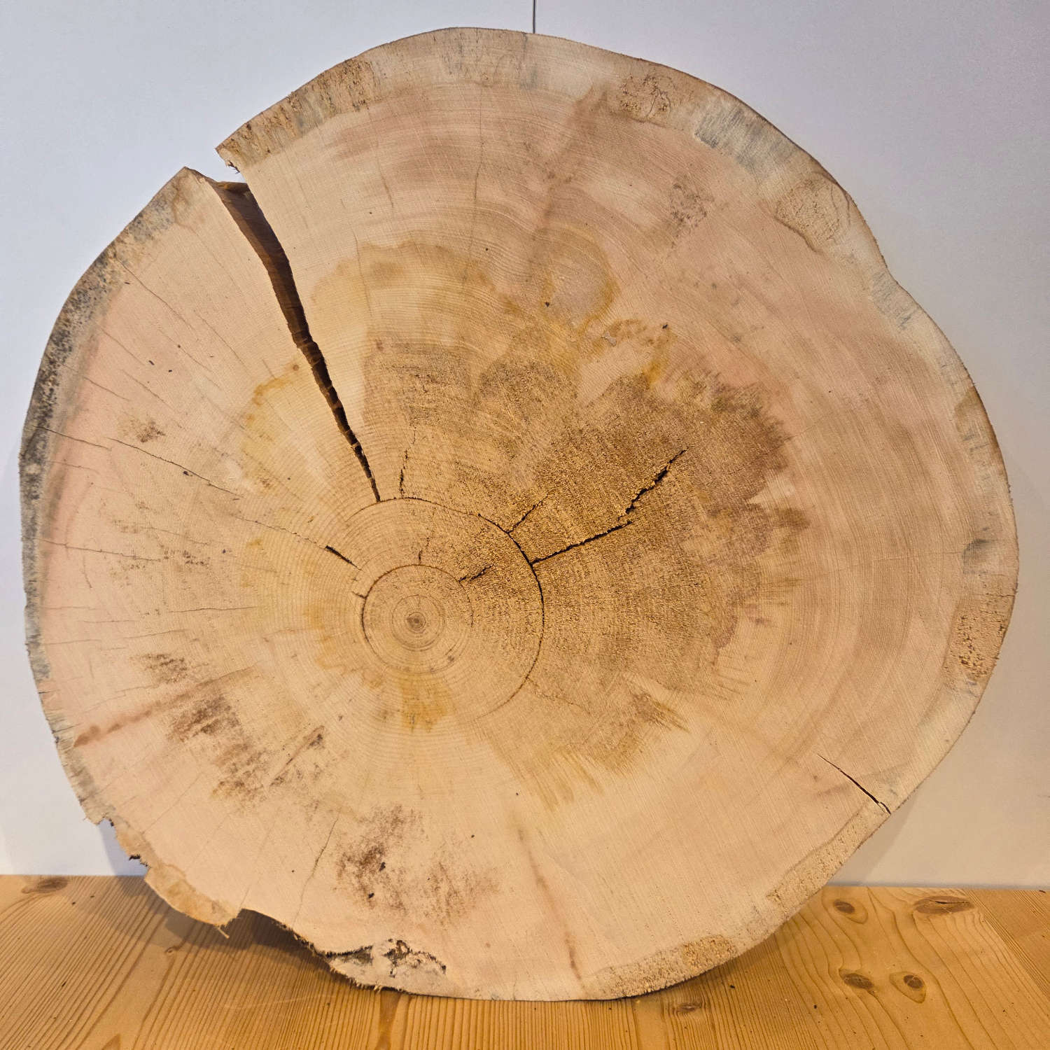 Swiss pine tree slice Ø 50 cm thickness 6 cm