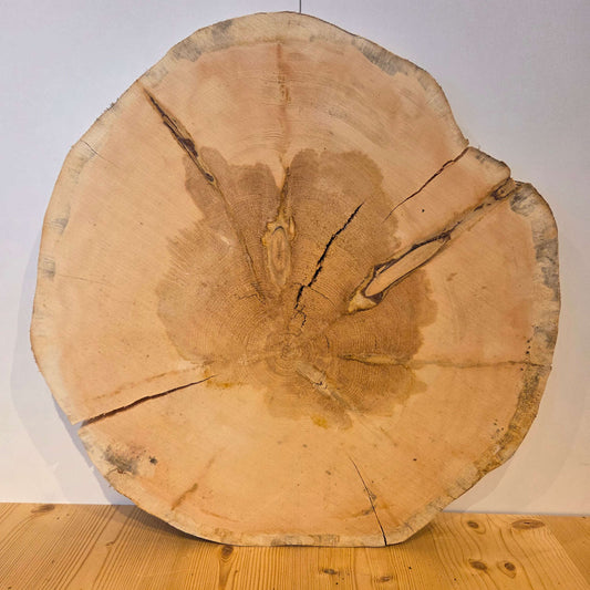 Zirben Baumscheibe  Ø 53 cm  Stärke 5,5 cm