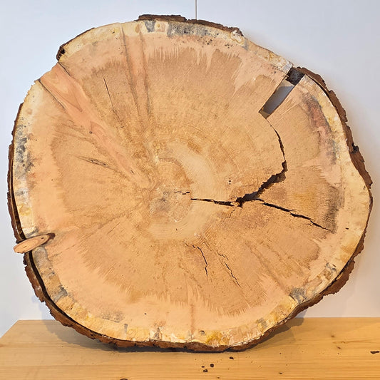 Zirben Baumscheibe  Ø 54 cm  Stärke 7 cm