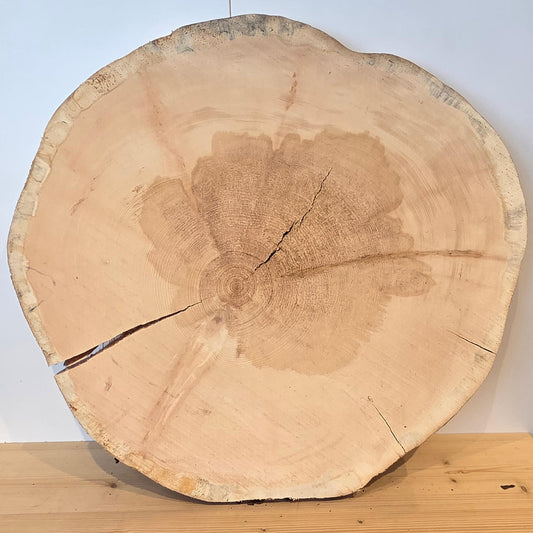 Zirben Baumscheibe  Ø 52 cm  Stärke 5 cm
