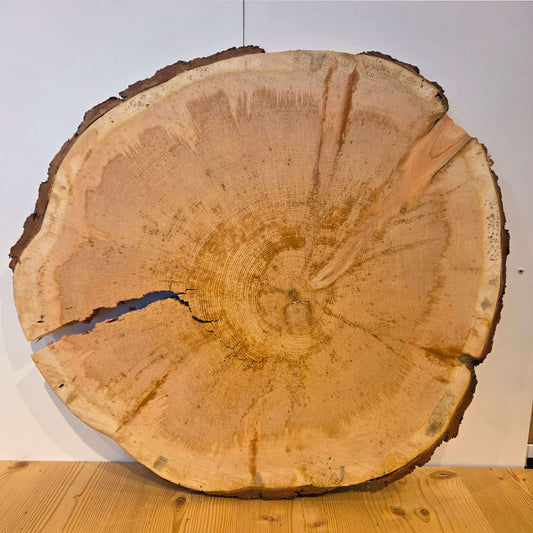 Zirben Baumscheibe  Ø 54 cm  Stärke 3,5 cm