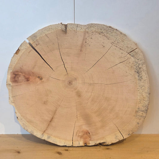 Zirben Baumscheibe  Ø 34 x 31 cm  Stärke 3 - 1,6 cm