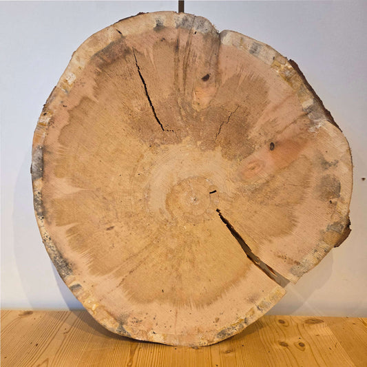 Zirben Baumscheibe  Ø 53 cm  Stärke 8 cm