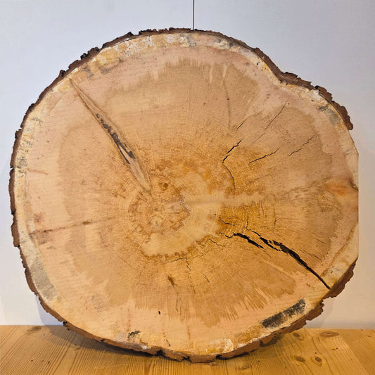 Zirben Baumscheibe  Ø 55 cm  Stärke 8 cm